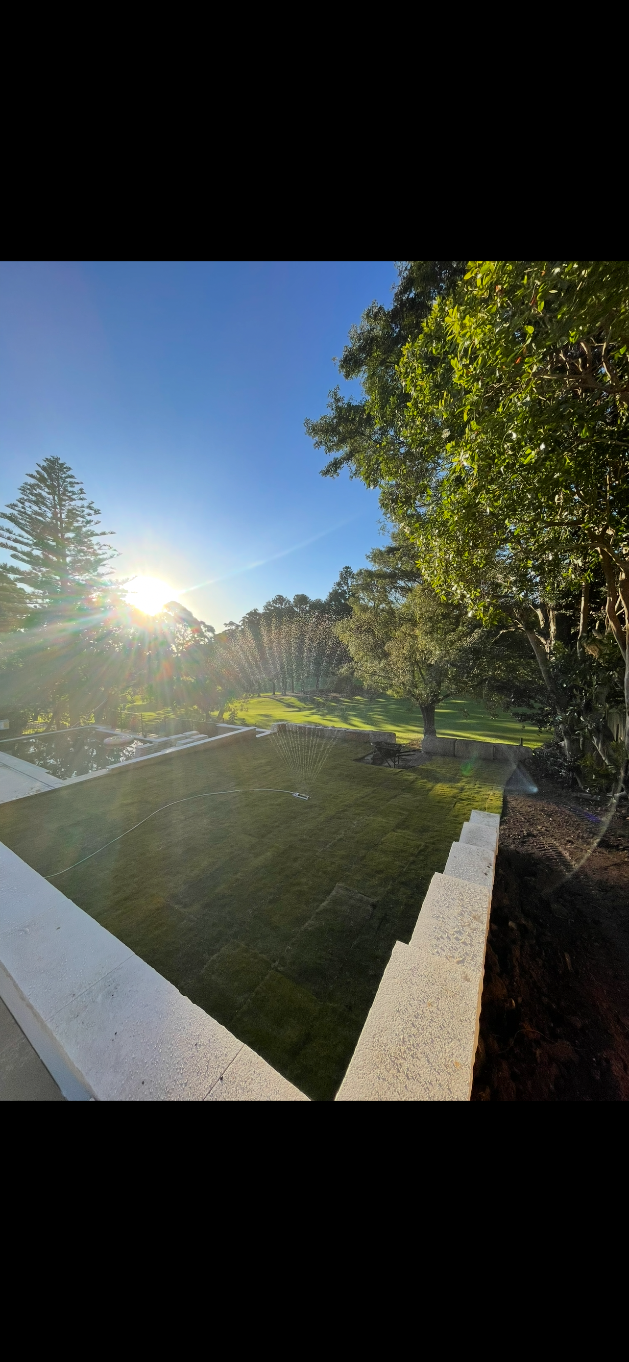 After: Backyard landscaping