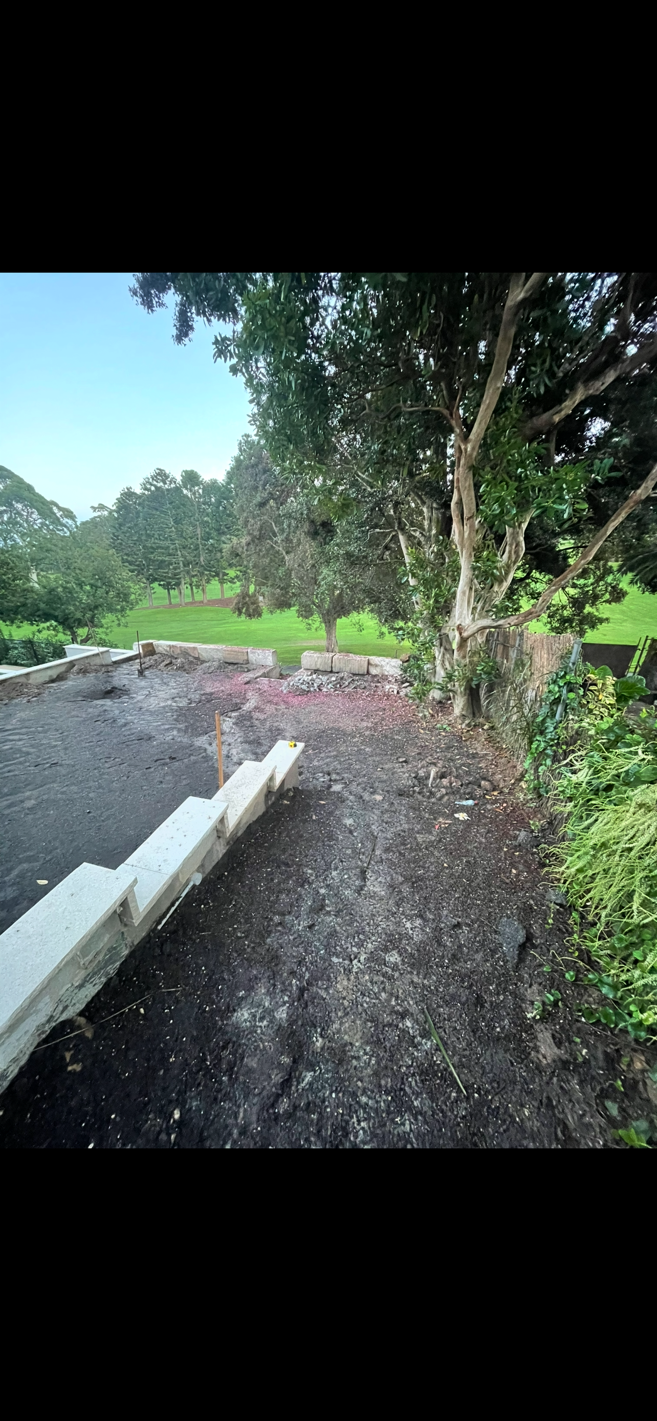 Before: Backyard landscaping