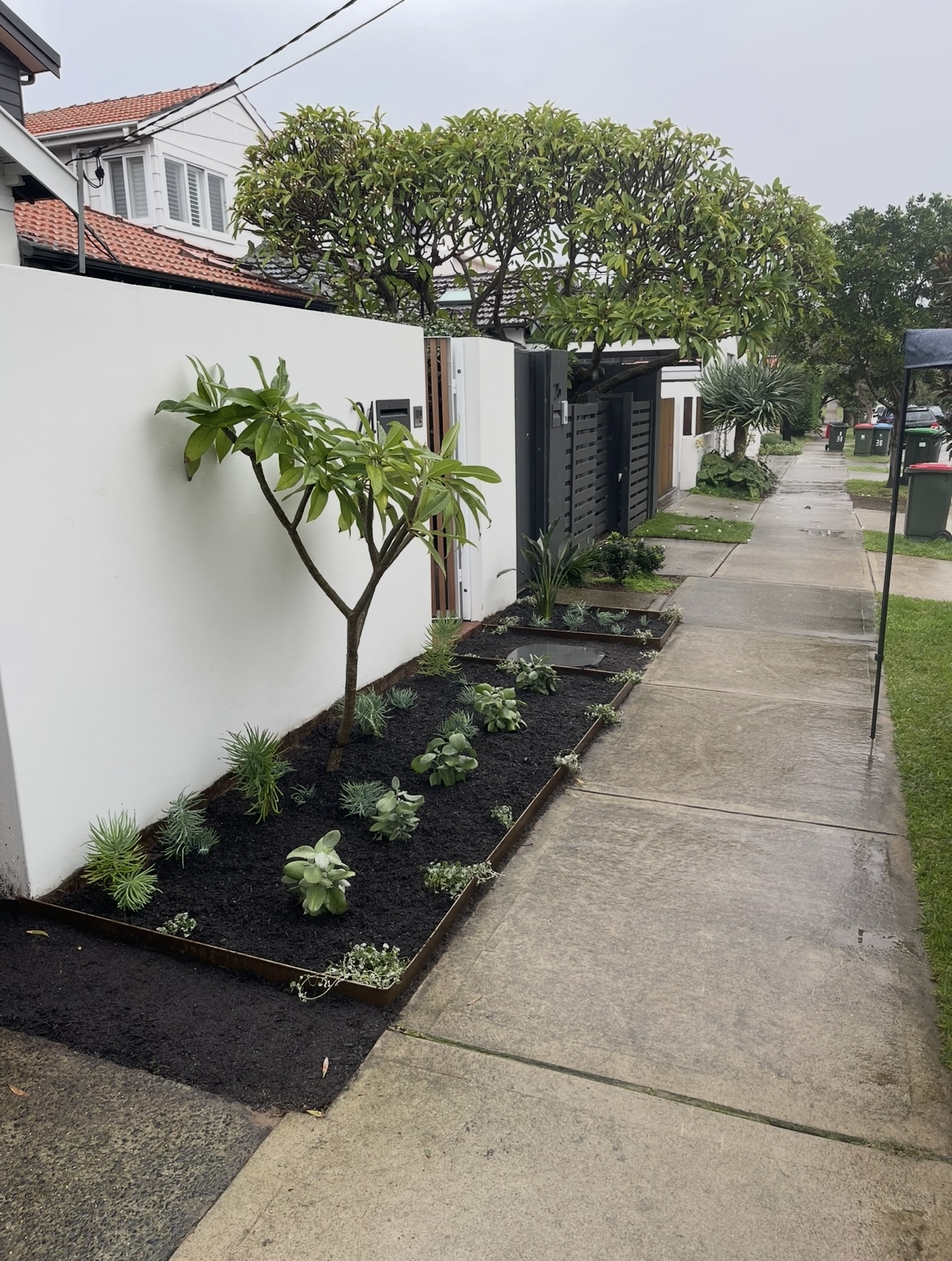 After: Nature strip