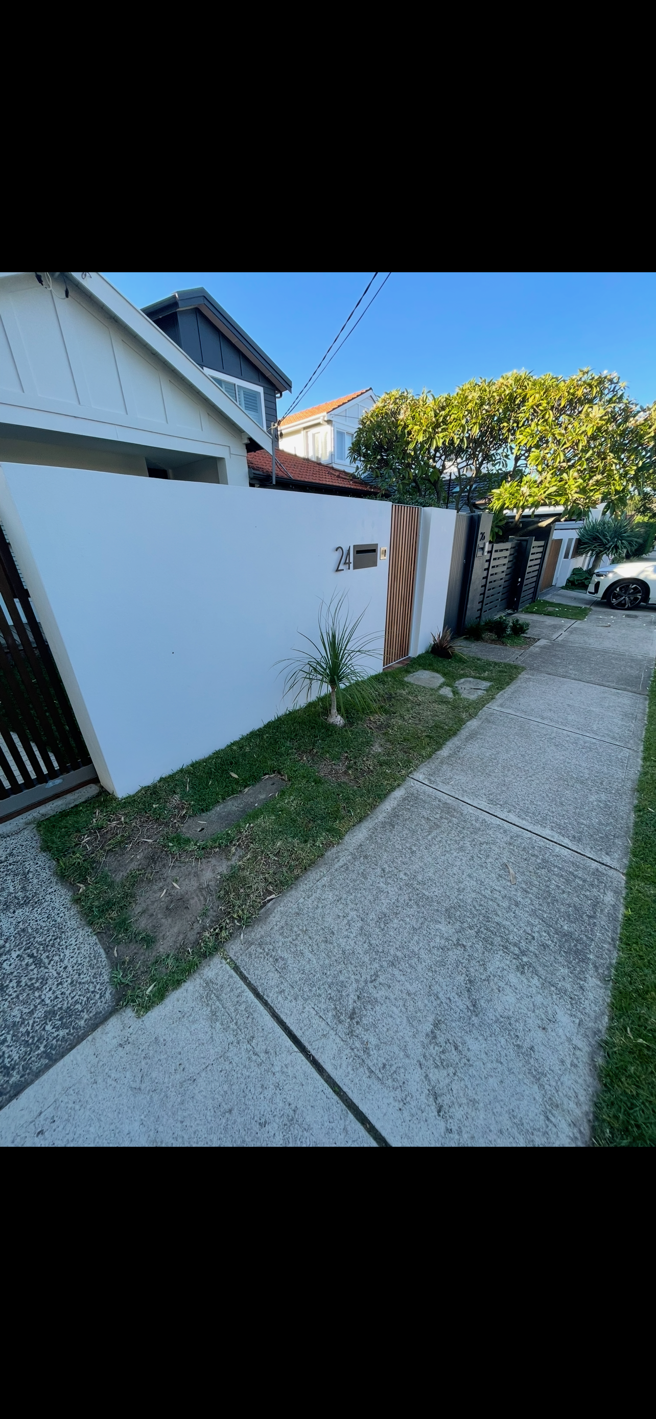 Before: Nature strip
